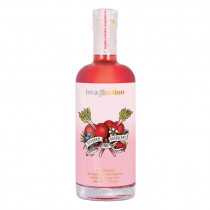 Imagination Rhubarb & Raspberry Gin