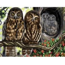 Holdson Treasures of Aotearoa Ruru Magic
