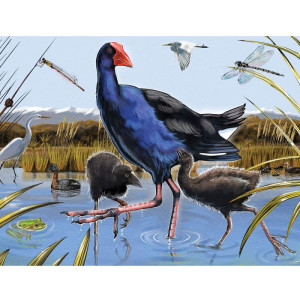 Holdson Treasures of Aoearoa Pukeko Waders
