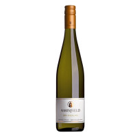 Amisfield Dry Riesling 22/23
