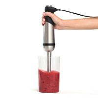 Click Clack CSM001SS Stick Blender