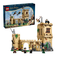 Lego 76447 H/Castle Flying Lessons