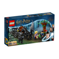 LEGO Harry Potter Hogwarts Carriage and Thestrals