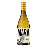 Mara Martin Godello 2021