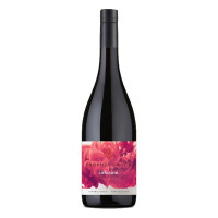 Prophets Rock Infusion Pinot Noir