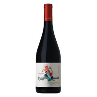 Terre dei Miti Etna Rosso 2019