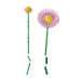 LEGO Botanicals Petite Sunny Bouquet