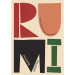 Rumi: Food Of Middle Eastern Appearance