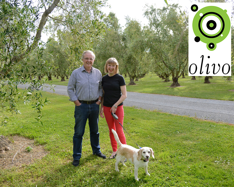 Olivo Olive Oil