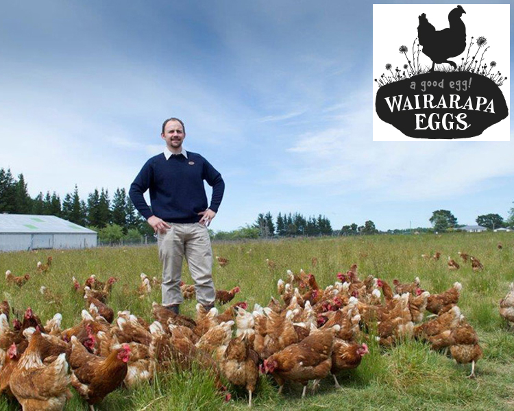 Wairarapa Free Range Eggs