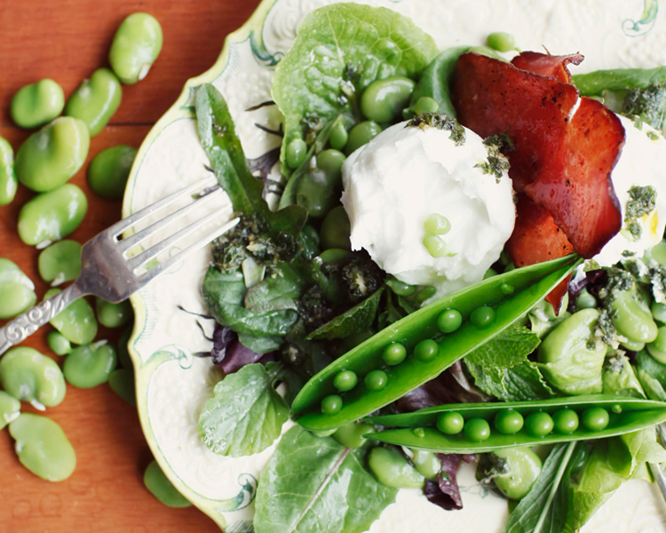 The Clevedon Valley Buffalo Co. Bocconcini & Broad Bean Salad