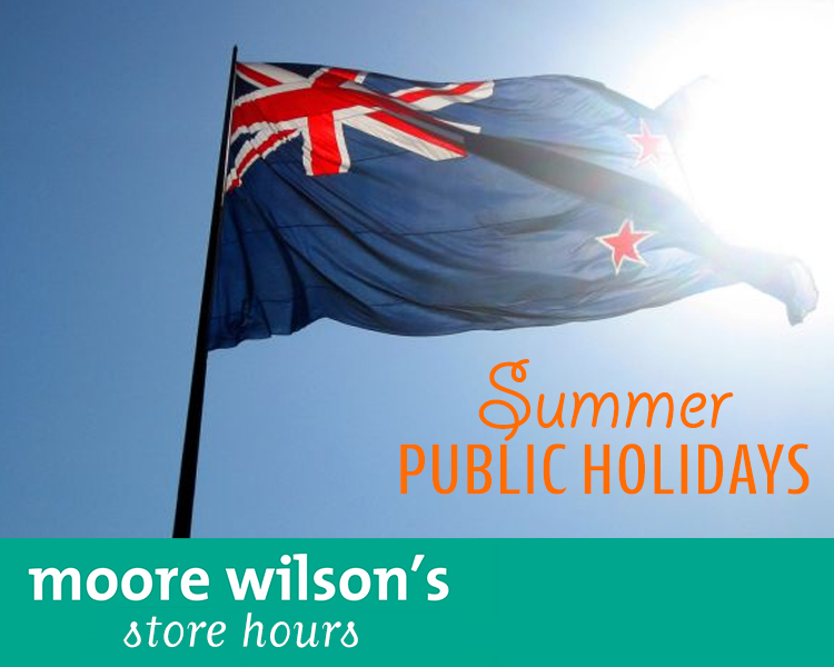 Waitangi Day Store Hours