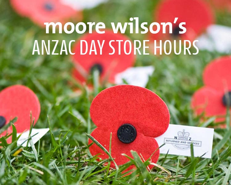 Anzac Day Store Hours