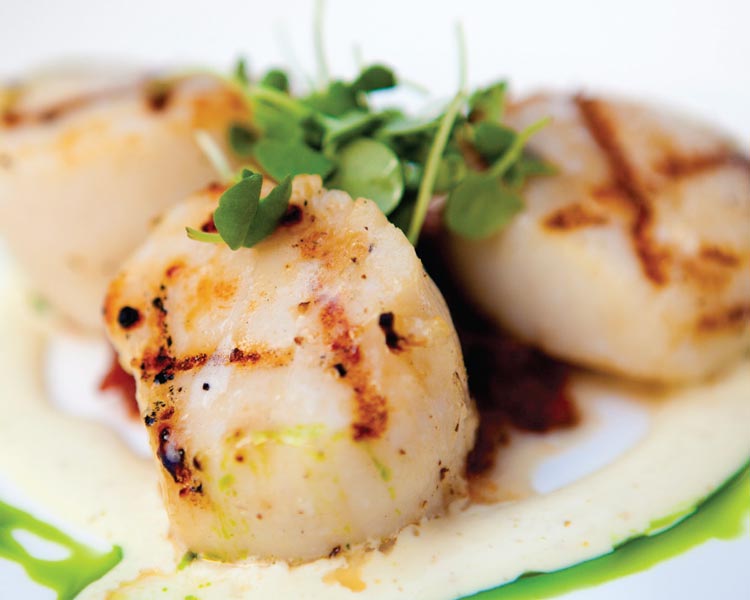 Scallops with a Citrus Marinade