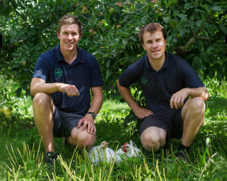 Supplier Profile: Bostock Organic Chicken