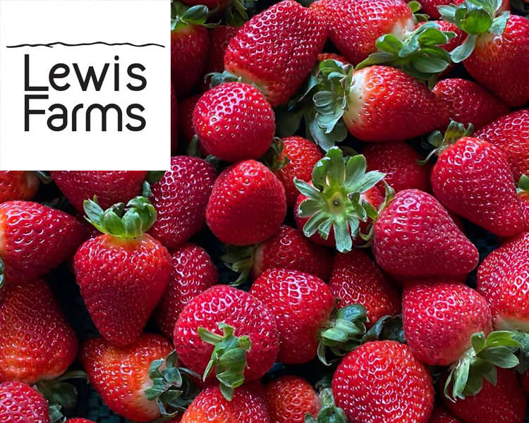 Supplier Profile: Lewis Farms