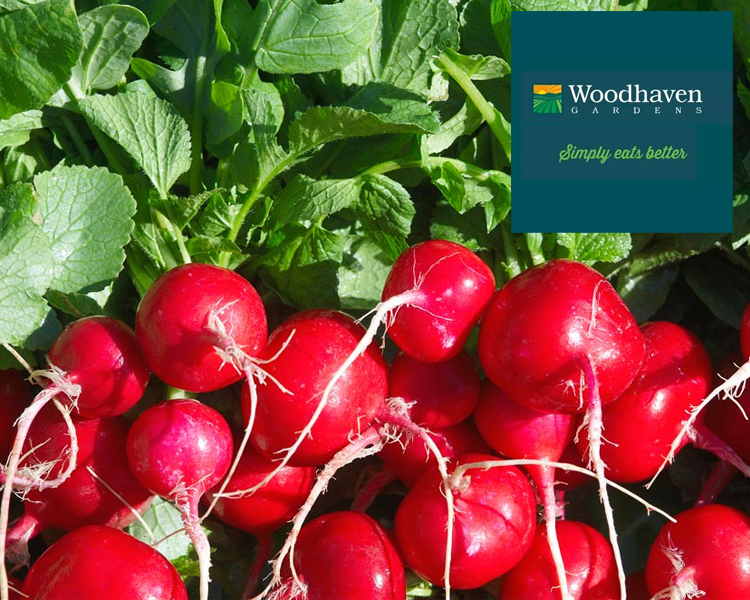 Supplier Profile: Woodhaven Gardens