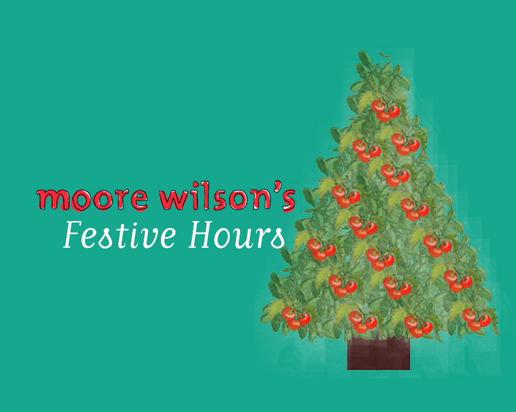 Moore Wilson's Festive Hours 2024/2025